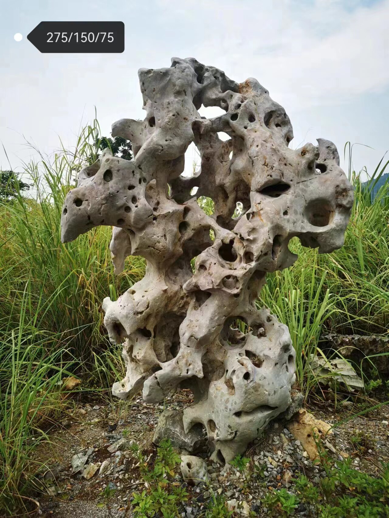 Taihu stone strange stone natural original stone hall large and small ornaments traditional Chinese style decorative ornamental stone