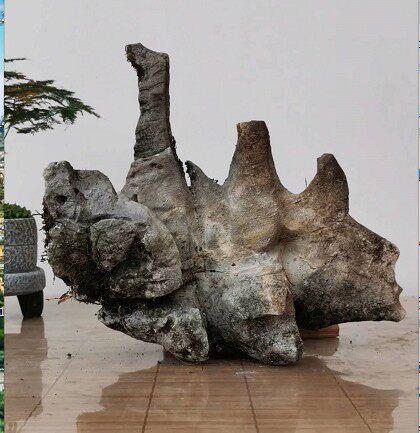 Guangxi Taihu Stone Natural Raw Stone Linglong Stone Landscape Garden Landscape Stone Kistler Raw Stone Ornament