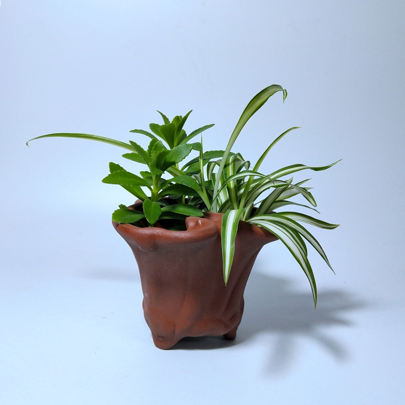 Collection Yixing Purple Sand One Factory Old Stock Stock Original Mine Red Clay Powder Pulp Decoration Xiang Yunhong Red Lingzhi Miniature Small Flower Pot