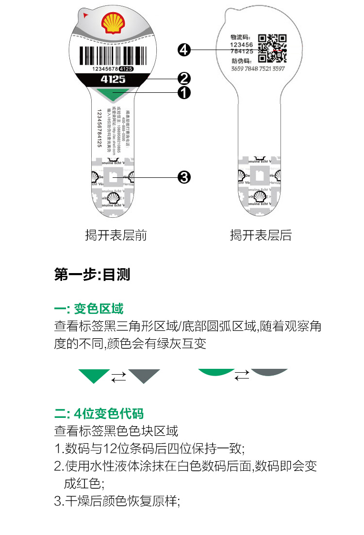  蓝壳-40电脑版_05.jpg