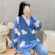 Pregnant womens autumn clothes sweater New autumn gestation women dress up for not showing up with fashion money out of the spring and autumn-style cardio-hoodie jacket