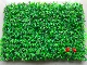 Bán trực tiếp cỏ giả với hoa nhựa cỏ mô phỏng cây xanh tường cao cỏ mã hóa trong nhà ban công trang trí sân cỏ nhân tạo - Hoa nhân tạo / Cây / Trái cây