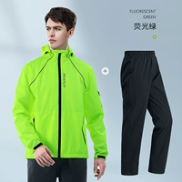 Флуоресцентный зеленый [набор]