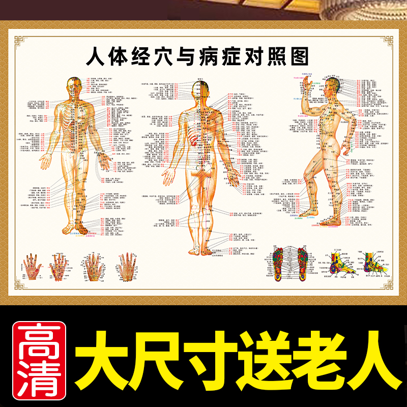 Human meridian acupuncture point diagram real flip chart Chinese medicine disease control picture whole body hanging painting acupuncture HD poster picture