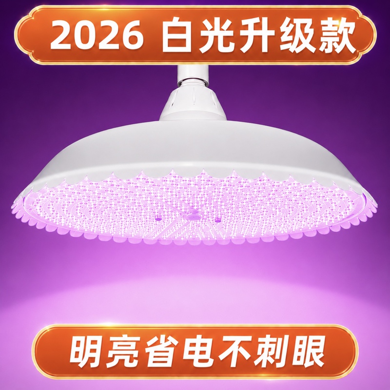 Led New National Standard Market Lights Full Spectrum New Model Lighting Market Stall Lights Pure White Light 2026 Upgrade Led New National Standard Market Lights Full Spectrum New Model Lighting Market Stall Lights Pure White Light 2026 Upgrade