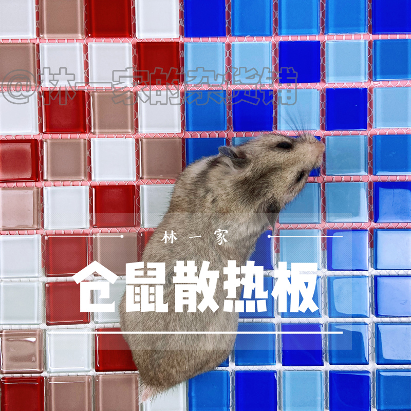 Hamster Heat Dissipation Plate Cool Mat Pets Cooling Supplies Flowers Branches Squirrels Golden Silk Bear Summer Heatstroke Summer Heatstroke Mat Ice Mat 