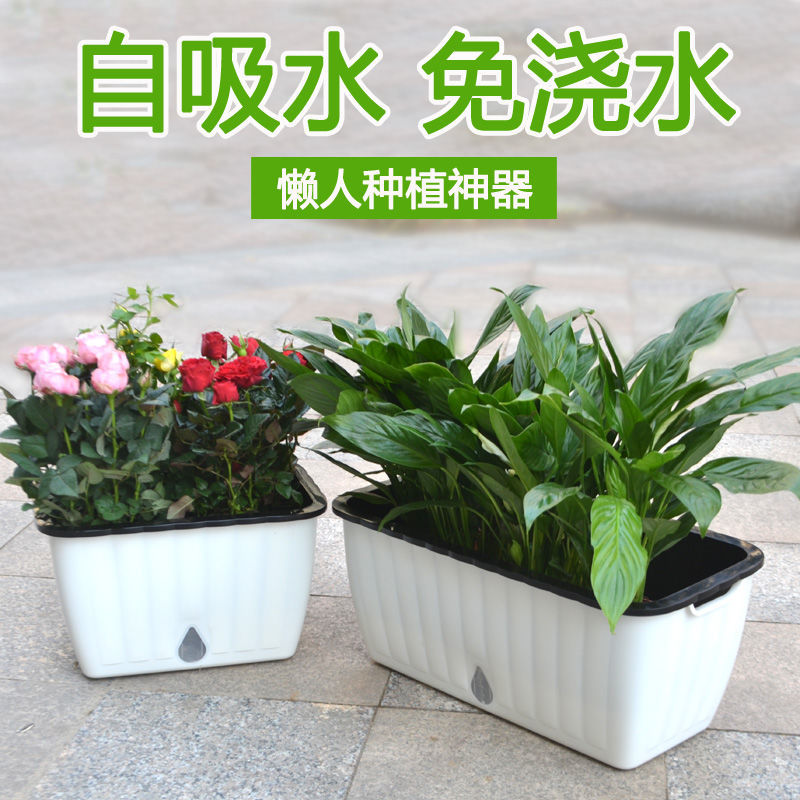 Automatic Suction Basin Sloth People Basin of Vegetable Theorizer Family Balcony Rectangular Plastic Flowerpots Grow Vegetable Basin Generic