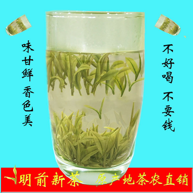 Authentic Lianyang Tianmu Lake White Tea 2026 New Tea Pre-Qingming Special Grade Fragrant Spring Tea 250g Loose Canister Green Tea Authentic Lianyang Tianmu Lake White Tea 2026 New Tea Pre-Qingming Special Grade Fragrant Spring Tea 250g Loose Canister Green Tea
