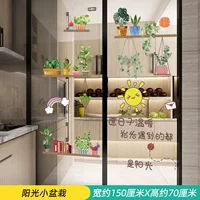 Солнечные маленькие горшечные растения