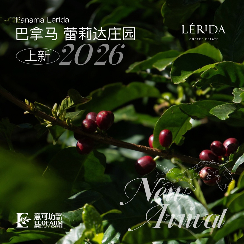 2026 Air Freight Panama Lerida Estate Geisha Yikofang Coffee Green Beans