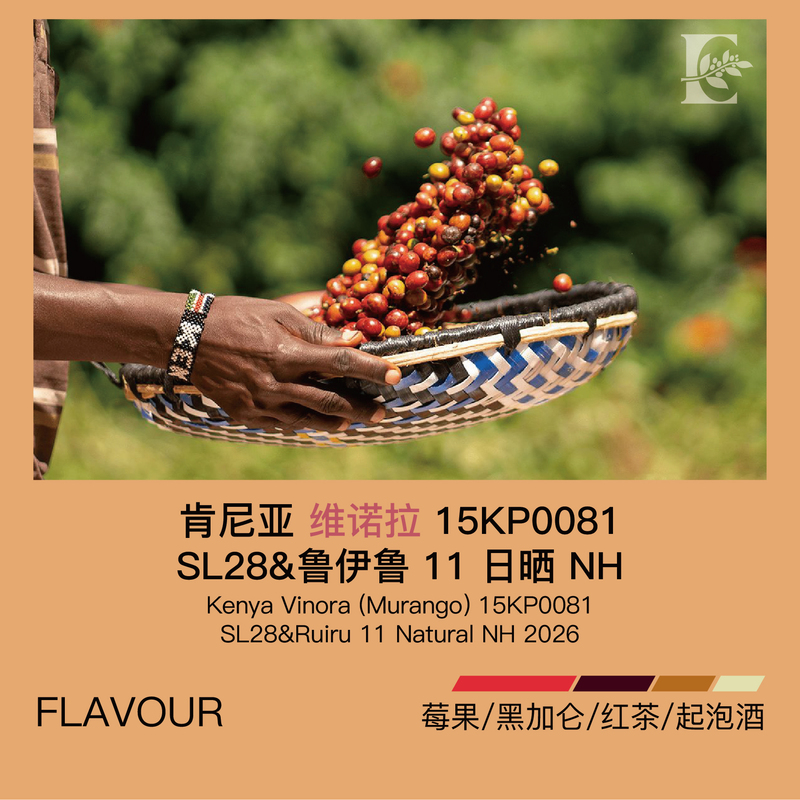 2026 Kenya Vinola 15Kp0081 Sl28 & Ruiru 11 Sun-Dried Nh Coffee Green Beans 2026 Kenya Vinola 15Kp0081 Sl28 & Ruiru 11 Sun-Dried Nh Coffee Green Beans