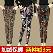 Mùa thu và mùa đông in cộng với quần legging màu nhung dày mặc cho nữ trung và già mùa đông ấm áp quần eo cao