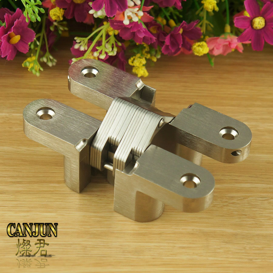 Invisible door cross hinges