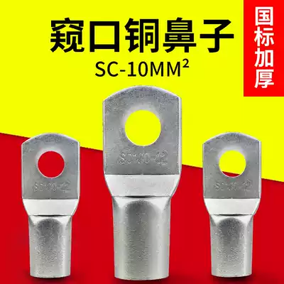 SC10-6 8 10 Pinch copper terminal copper terminal block copper wire nose wire lug 10 square National Standard