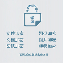 Feather Wings DLP Enterprise Data Security Leakage Prevention Management System Employee Computer U Disk Supervision File Encryption Software