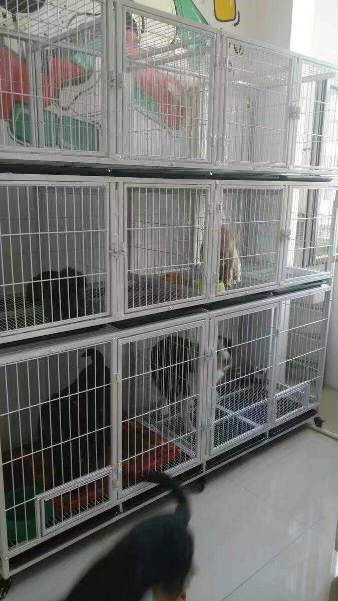 Golden Ao Dog Cage Bold Breeding Foster Cage Golden Hair Teddy Allah Pet Shop Medium Small Dog Cage Large Dog