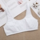 Cô gái áo ngực thời kỳ phát triển cotton học sinh trung học cơ sở nhỏ vest đồ lót thể thao không có vòng thép mỏng mùa hè