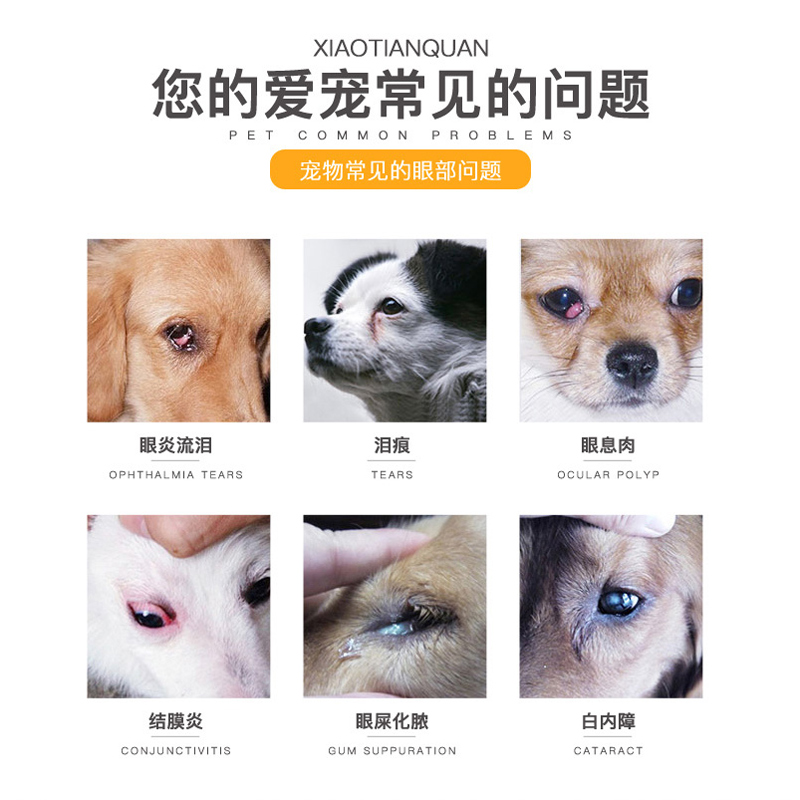 哮天犬康睛滴眼液治療狗狗貓咪結膜炎白內障抗菌消炎淚腺外用神器