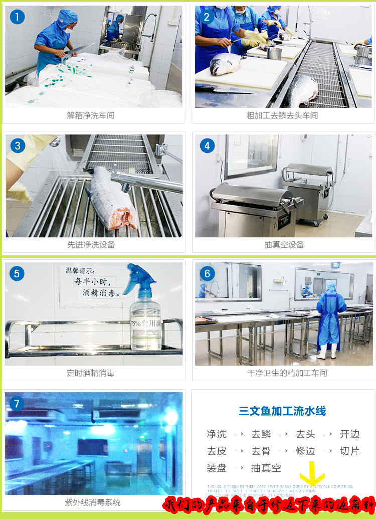 5 kg vận chuyển cá hồi tươi vụn cá hồi băm nhỏ chó mèo thức ăn ướt bán ướt thực phẩm làm đẹp tóc thực phẩm - Chó Staples cám chó