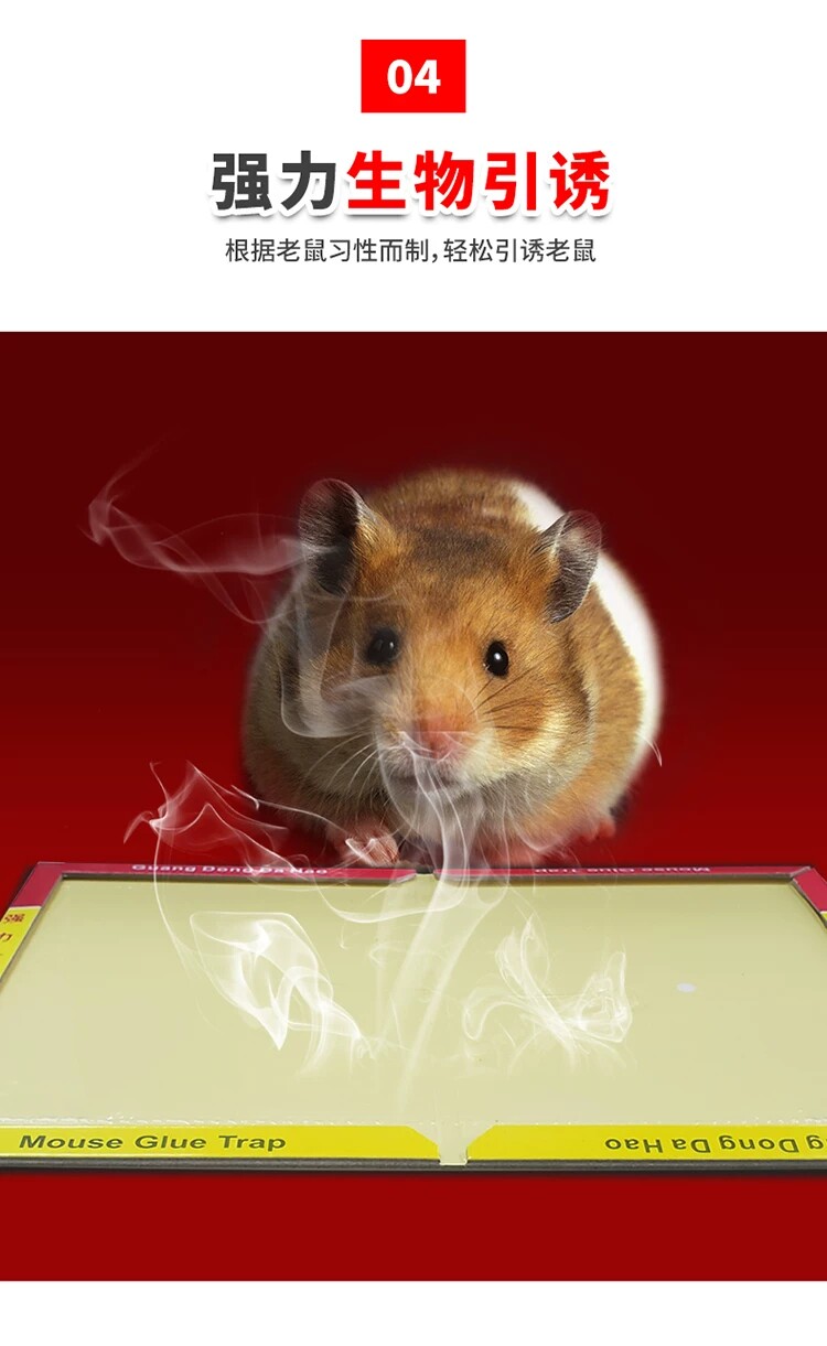 /