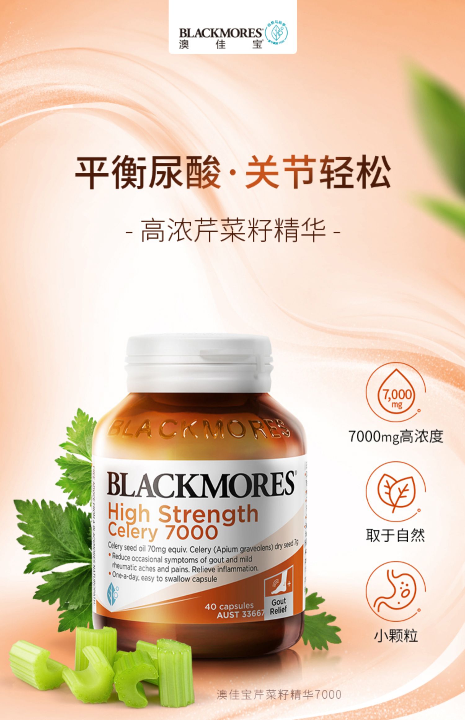 BLACKMORES澳佳宝芹菜籽1瓶