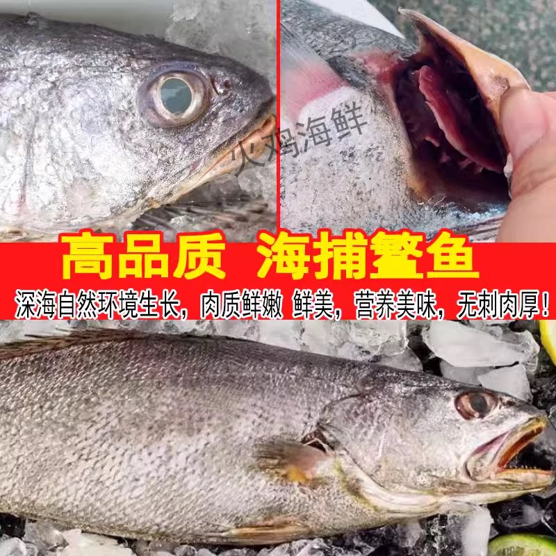 新鲜米鱼鳘鱼大鮸鱼敏鱼,深海美味怎么选?🐟深度测评与选购指南--淘宝好物网