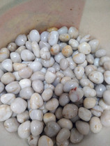 Direct Direct White Pebble White Rain Flowers Stone Original Stone Natural Garden Stones Park Garden Courtyard Paving Stones