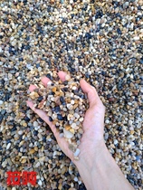Natural Goose Pebble Marsh Filter Stone Ground Warm Find Flat Backfill Special Bean Stone Washed Filter Stock Pebble Raindstone Flowers Stones