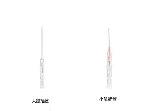 小鼠大鼠气管插管20G-14G