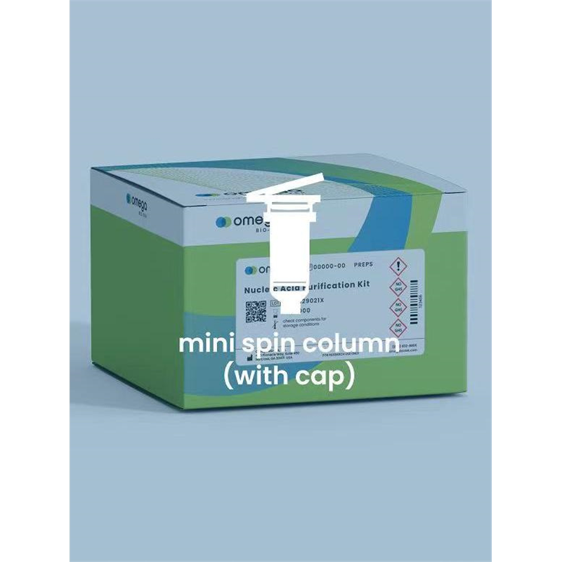 omega Fungal RNA Kit 真菌RNA提取试剂盒 R6840