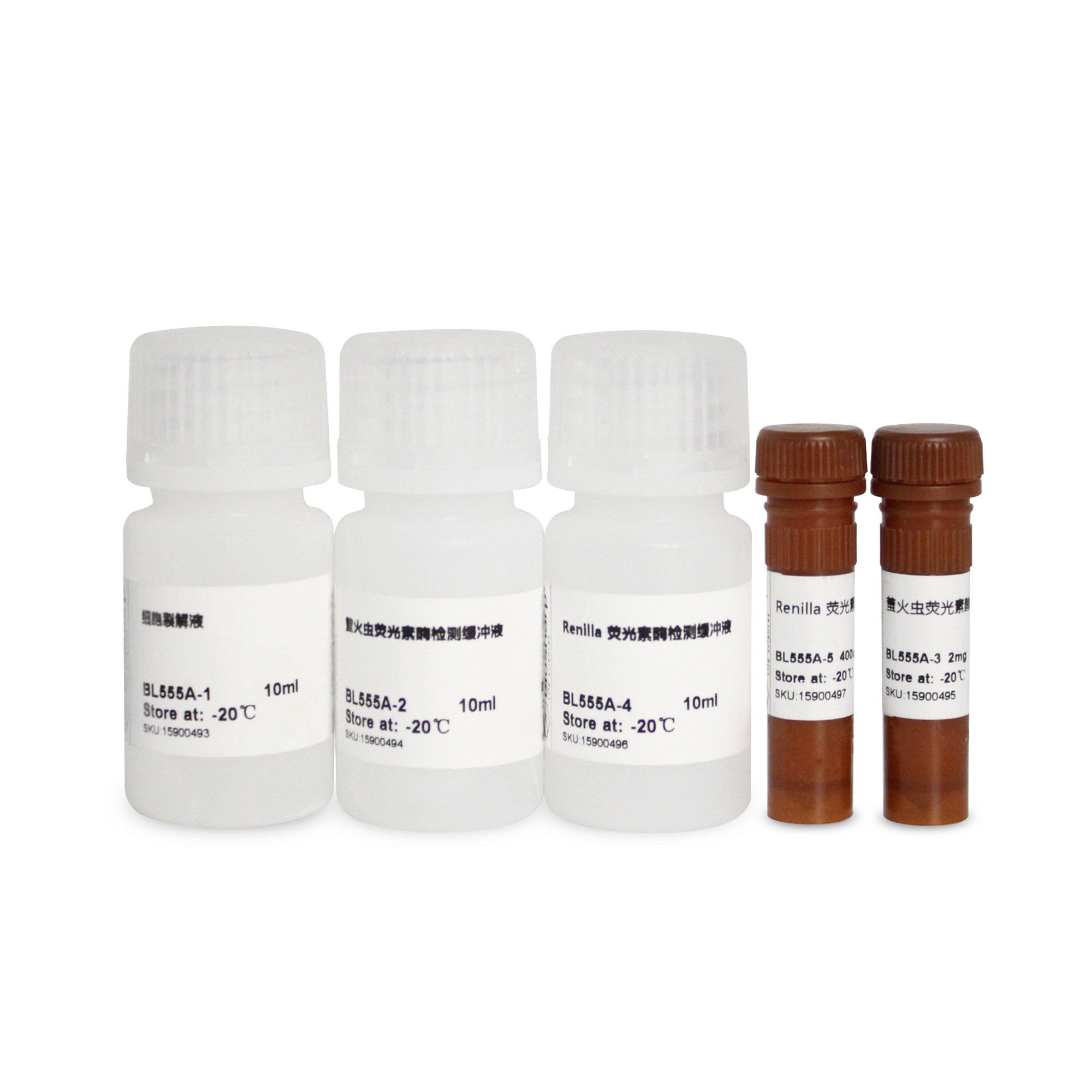 Biosharp白鲨 BL555A&amp;BL5564A/B 双萤光素酶报告基因检测试剂盒