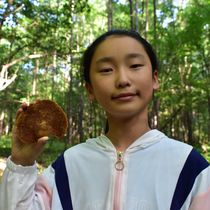 Wild Phellinus Changbai Mountain Wild Horse Clove Phellinus igniarius Lingzhi 250g can be cut