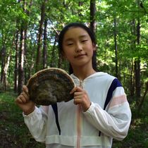 Wild red border layer hole bacteria red edge tree tongue pine species layer fungus Jiyu red edge Ganoderma lucidum 250g can be cut