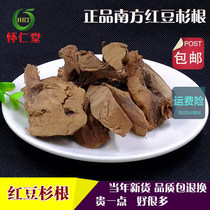 Yew root Chinese herbal medicine Natural southern yew root slices 500 grams and yew skin leaves
