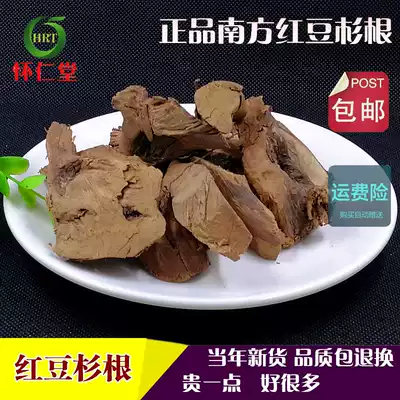 Yew root Chinese herbal medicine natural southern yew tree root slices 500g and yew skin leaves