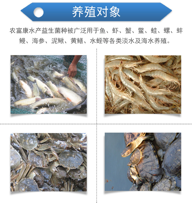 水产菌种04.jpg
