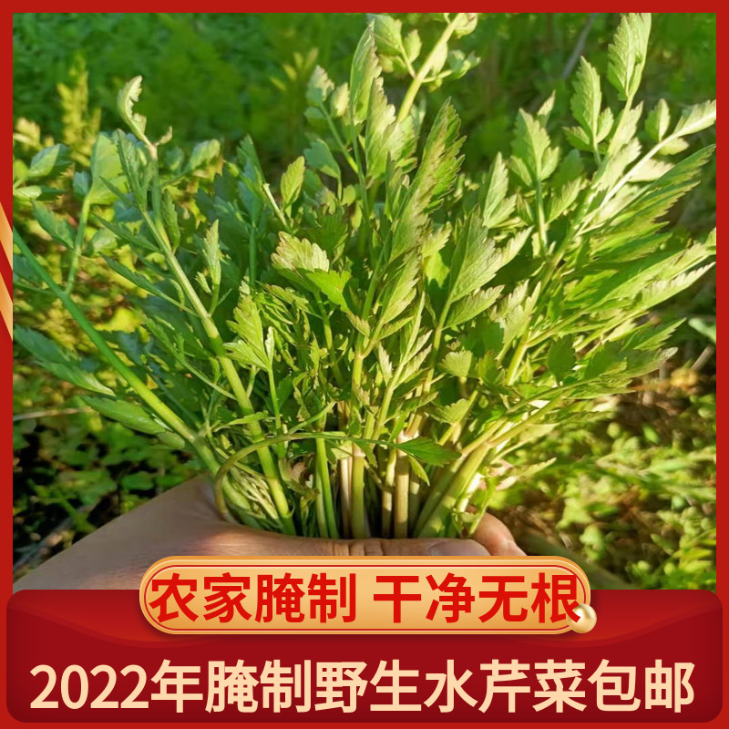 Wild celery fresh cured leaf parsley parsley vegetables in 2021 new 500g nationwide