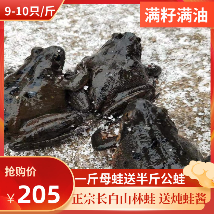 Northeast Forest Frog Long White Mountain Foot Two Mother Forest Frog Live Clams of Origin Straight Living Snow Clams 9-10 Only One catty-Taobao