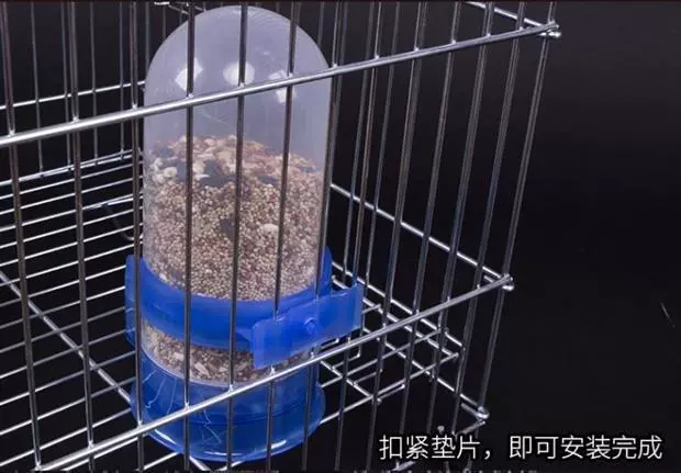 Chim vẹt với thức ăn tự động, đài phun nước uống, thức ăn, ấm lớn, bể nước, hộp thức ăn, chim, vật tư - Chim & Chăm sóc chim Supplies long chim hoa mi