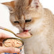 Beiweijia Cat Canned Cat Sacks Nutrition Fatten Tuna and Chicken Canned Cat Snacks for Adults and Kittens