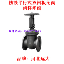 Hebei Yuanda Valve Z44T-10 Z44T-16 cast iron parallel double gate open Rod valve 65 80 100