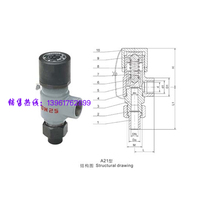 YOY Yongyi safety valve A21W-16 40 64 100C PR external thread spring micro-opening closed safety valve