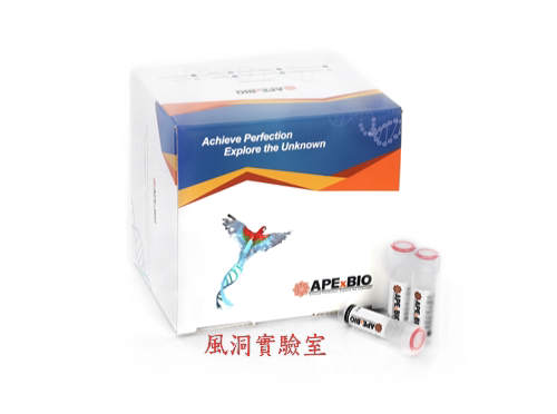 APExBIO HyperScript两步法RT-qPCR的高效逆转录反应预混液K1174