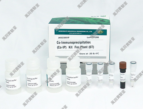 金开瑞 免疫共沉淀(Co-IP)试剂盒(植物)，用于研究蛋白质相互作用