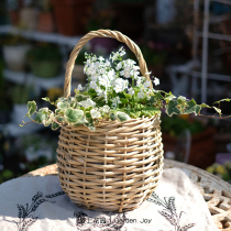 Fall in love with the garden) Gardening groceries Handmade rattan basket flower basket grass flower set pot pear-shaped single handle basket