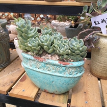 Fall in love with the garden blue glaze do old rose trim oval basin drop paint a Leaf Basin rose relief ring Mouth Basin