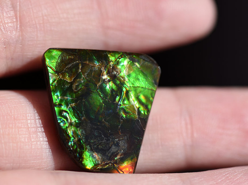 Natural Ammolite Gemstone Imported from Canada, Gem-Grade Fossil, Authentic Educational Specimen for Science Education Natural Ammolite Gemstone Imported from Canada, Gem-Grade Fossil, Authentic Educational Specimen for Science Education