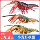 Моделирование настоящего сердца пресноводных кротов игрушек членисторонние модель Керри Оригинальные детские науки и образование