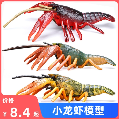 Моделирование настоящего сердца пресноводных кротов игрушек членисторонние модель Керри Оригинальные детские науки и образование