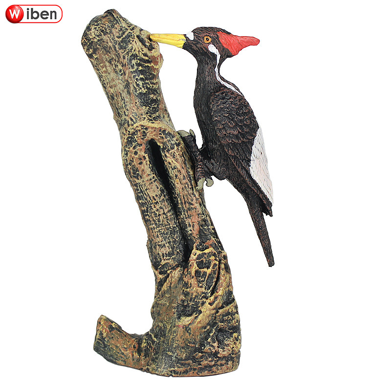 Simulation wild animal model Bird bird ornament Woodpecker toy Children's cognitive boy gift